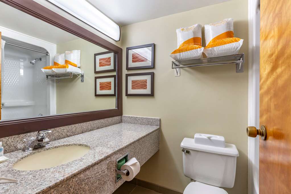 Comfort Inn Quantico - photo 8