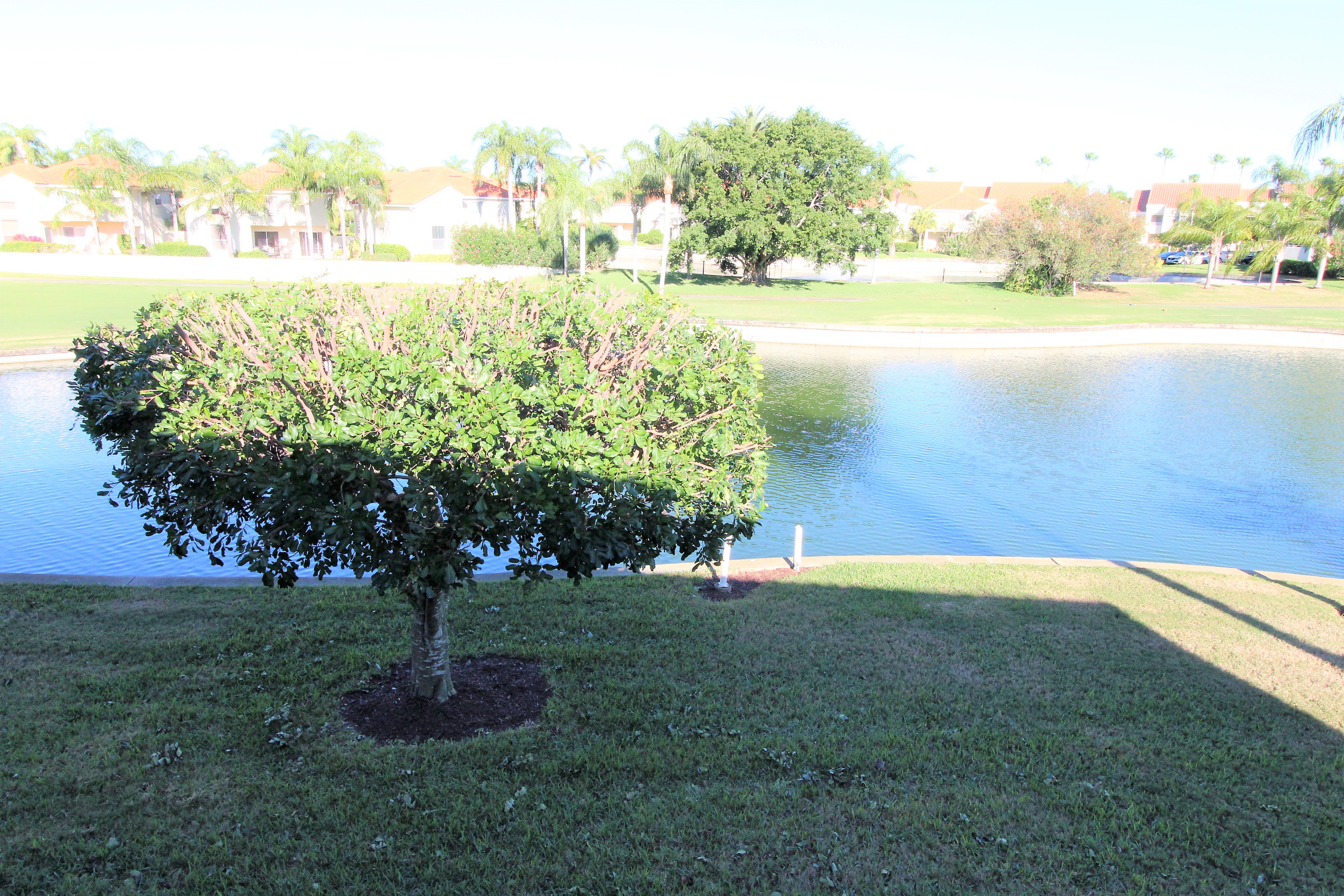 Vista Verde East 7 255 - photo 4