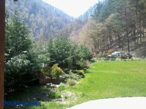 Pensiunea Perla — Cugir — photo 5
