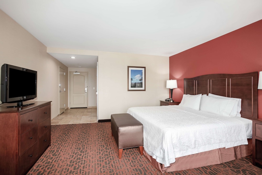 Hampton Inn & Suites Denver South RidgeGate - photo 27