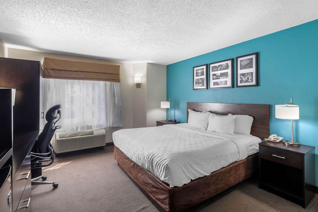 Clarion Inn & Suites DFW North - photo 8