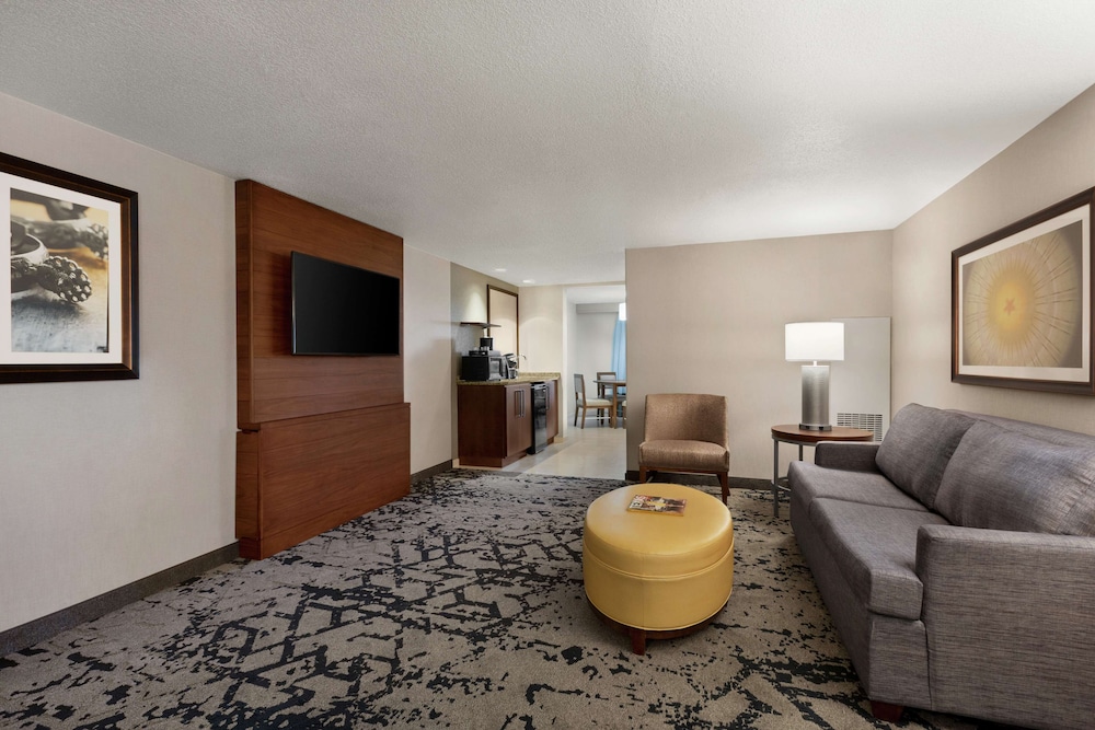 Embassy Suites by Hilton Dallas DFW Airport North - photo 27