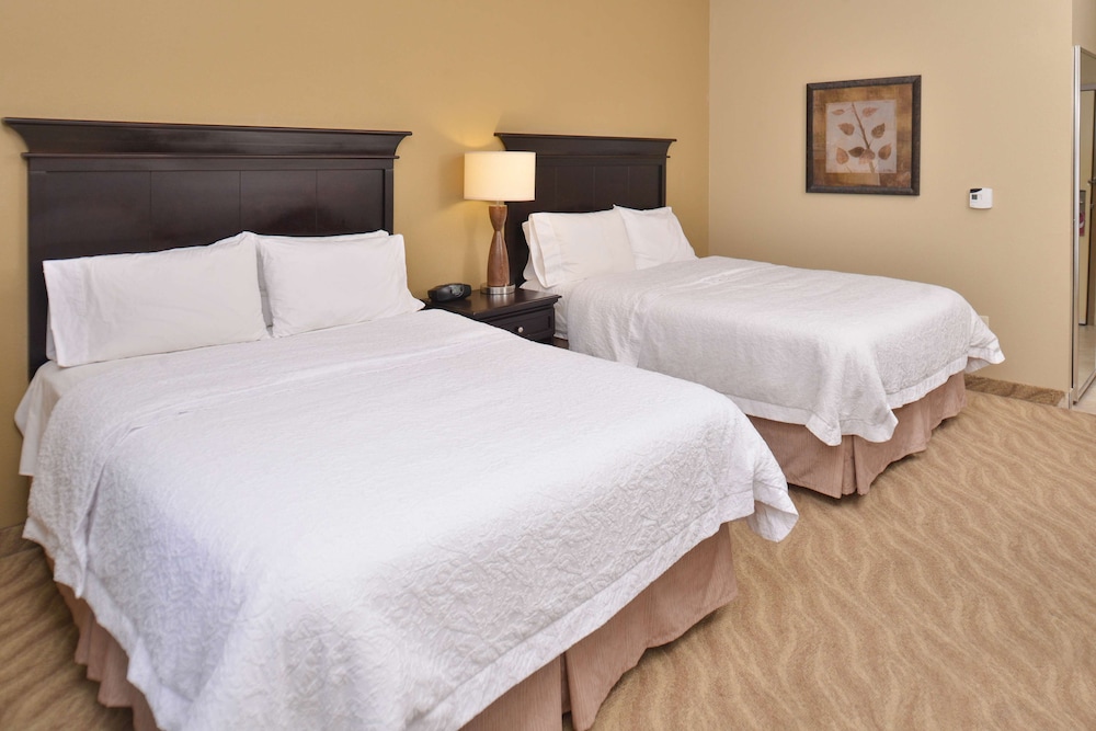 Hampton Inn Van Horn - photo 10