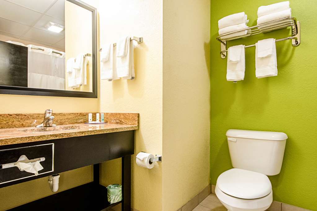 Quality Inn & Suites Glenmont Albany South - photo 31