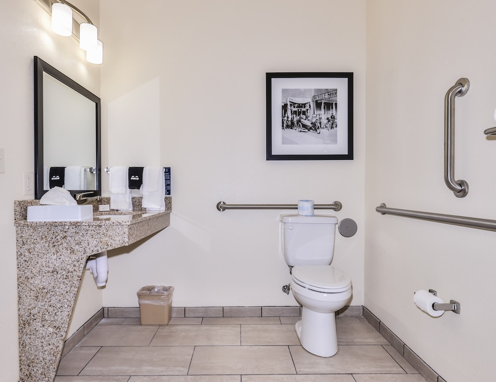 Cobblestone Hotel & Suites Rhinelander - photo 41