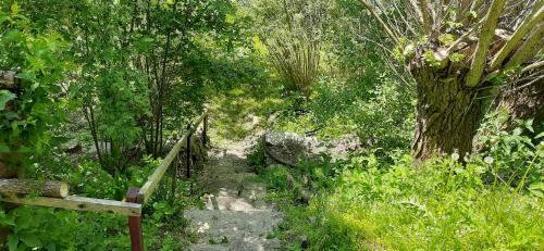 Zielony Domek — Tylicz — photo 2