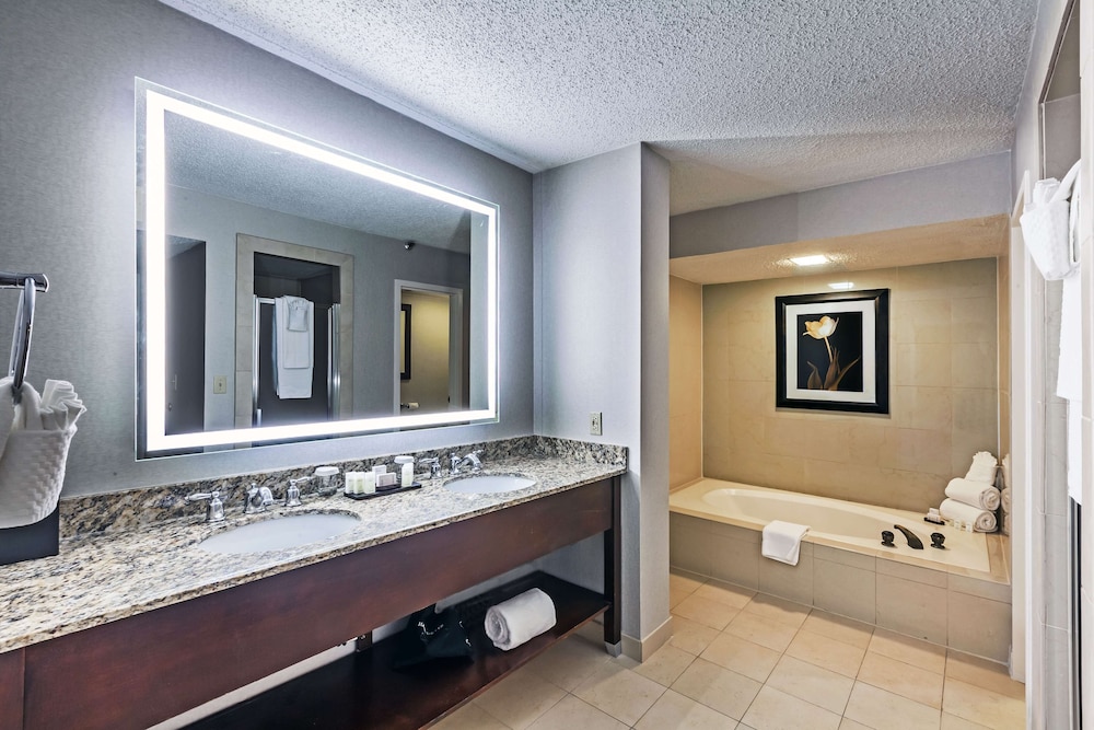 Embassy Suites by Hilton Dallas Market Center - photo 31