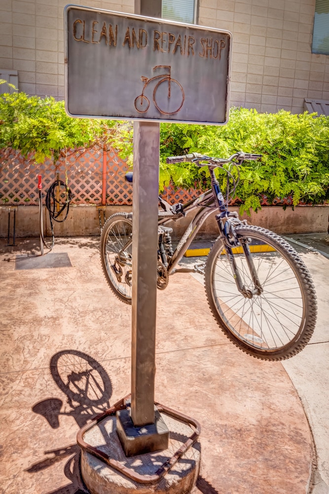 The Gonzo Inn - photo 59