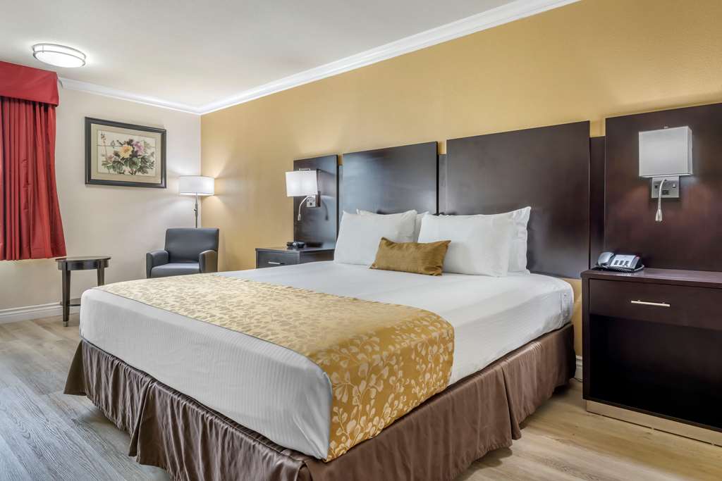 Best Western Plus South Bay Hotel - photo 21