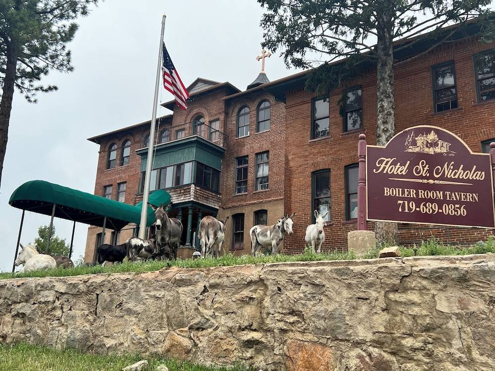 Hotel St. Nicholas - featured photo