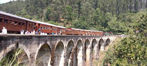 Lush In Ella in Ella Town, Sri Lanka