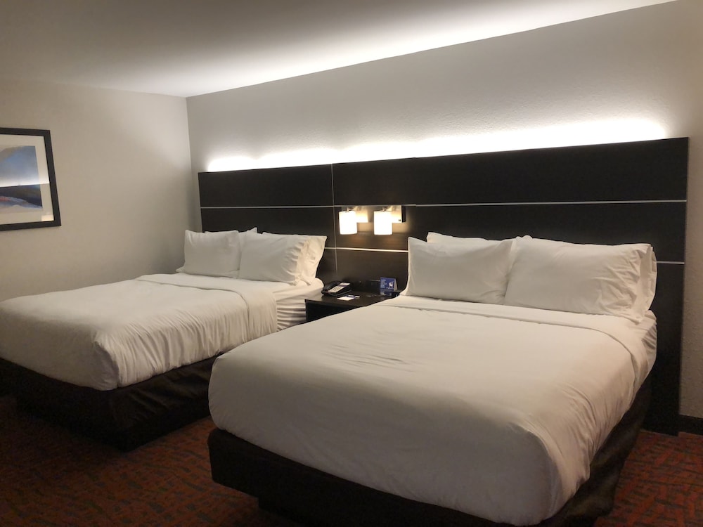 Holiday Inn Express Metropolis - photo 9