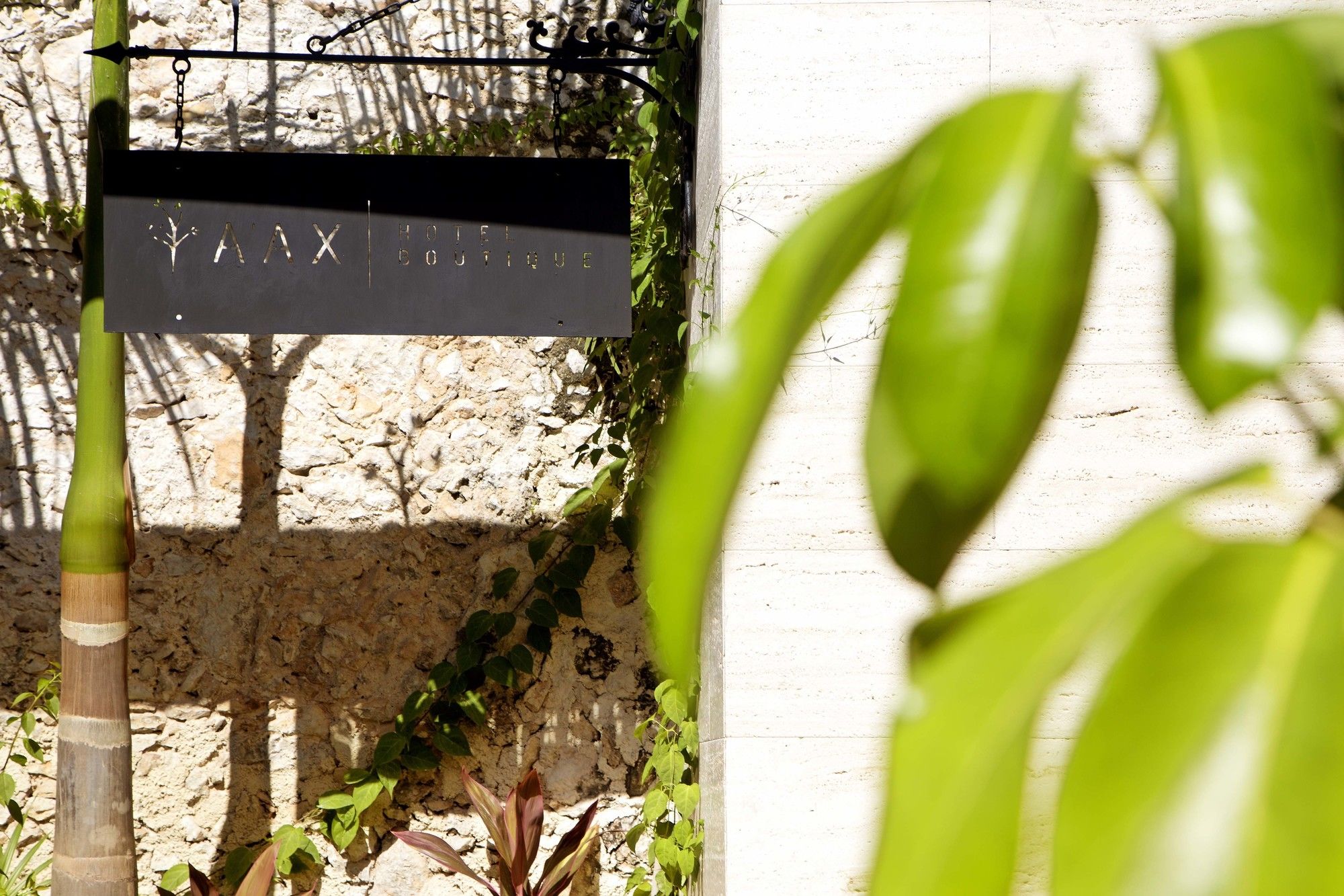 Ya'ax Hotel Boutique