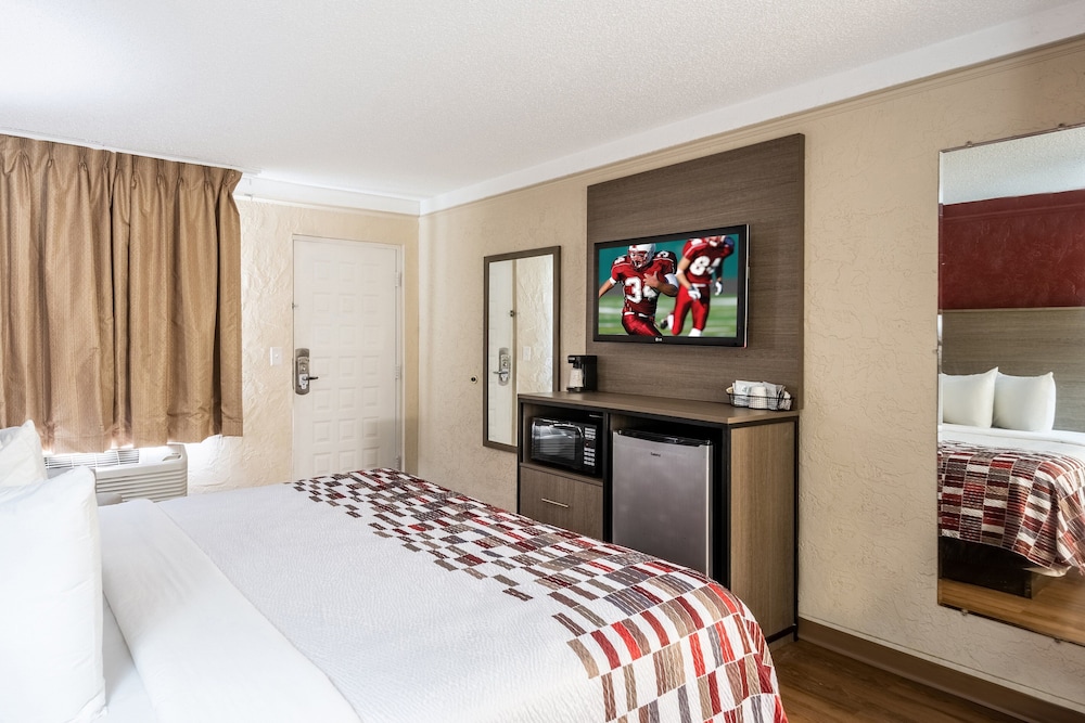 Red Roof Inn Tampa Bay St Petersburg - photo 15