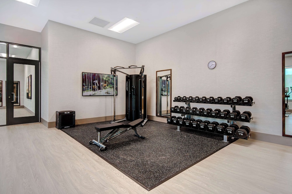 Embassy Suites By Hilton Alpharetta Halcyon - photo 38