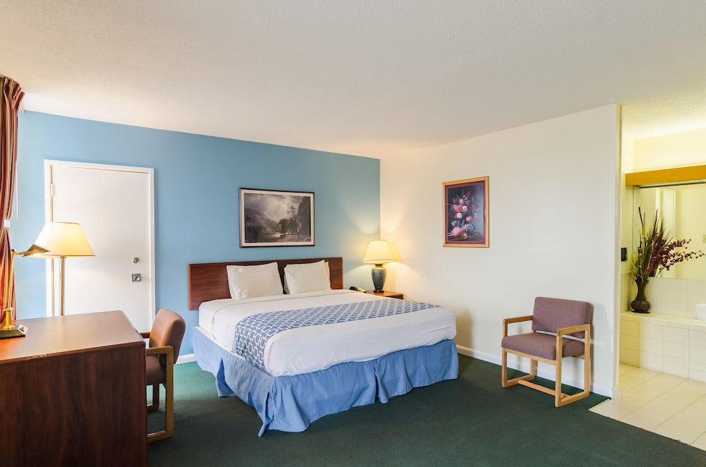 Alamo Inn & Suites - photo 13
