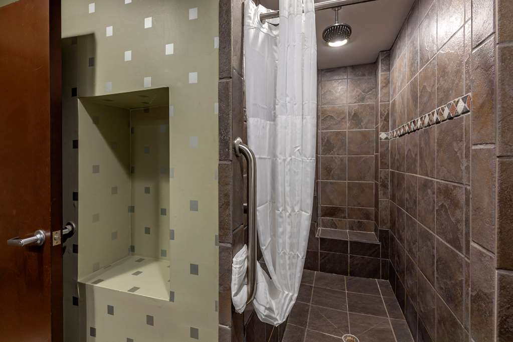 Comfort Suites Perrysburg Toledo South - photo 6