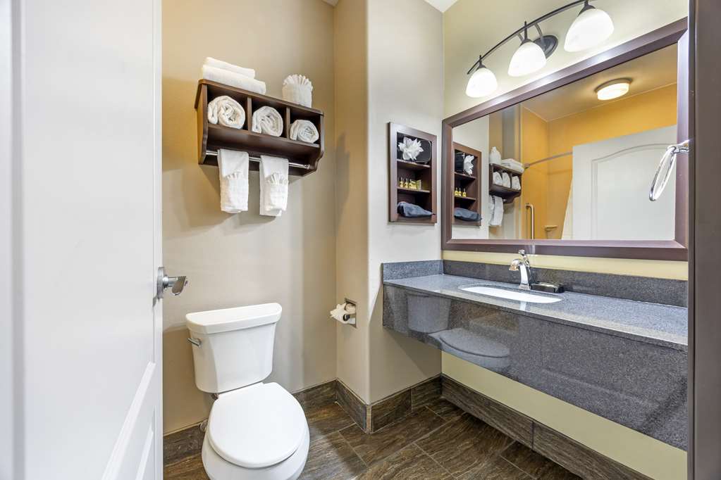 Best Western Plus Emerald Inn & Suites - photo 25