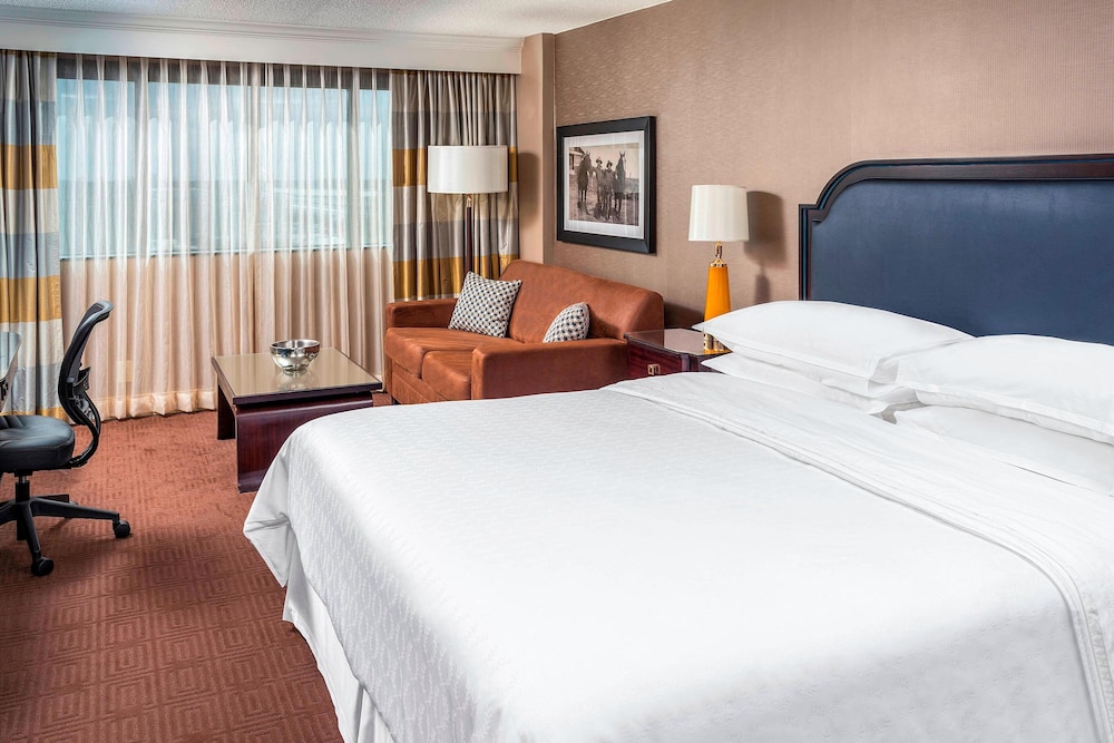 Sheraton North Houston at George Bush Intercontinental - photo 10