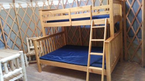 Mount Vernon Camping Resort 16 Ft Yurt 6 — Bartow