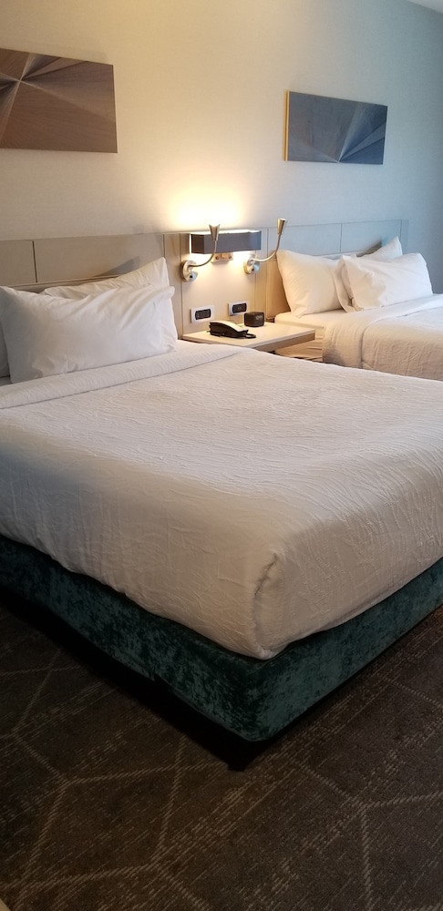 Hilton Garden Inn Colorado Springs Downtown - photo 21