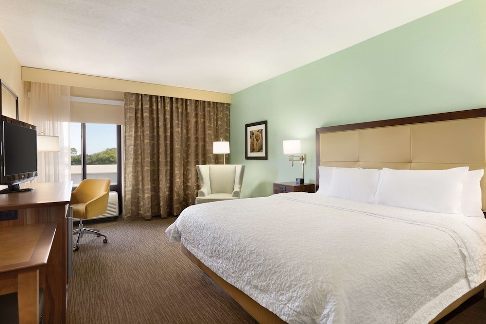 Hampton Inn & Suites Tarpon Springs - photo 14