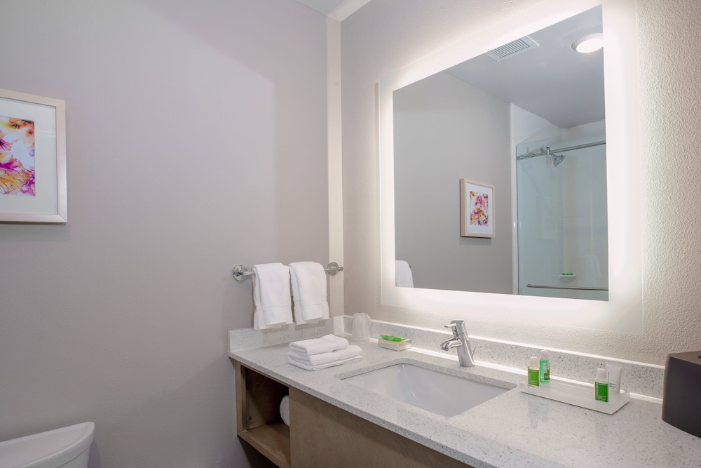 Holiday Inn Tallahassee E Capitol Univ by IHG - photo 12