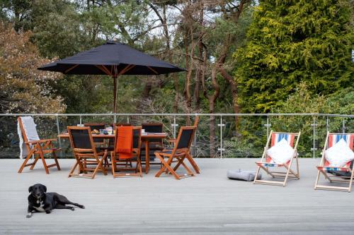 Tree Top House — 4-Star Luxury Hotel in Ringwood, United Kingdom