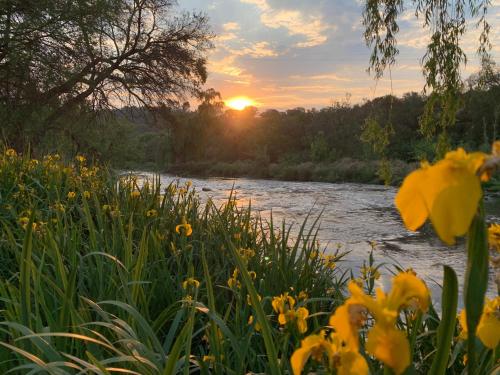 Forestiva Farm River Cottage — 4-Star Luxury Hotel in Centurion, South Africa