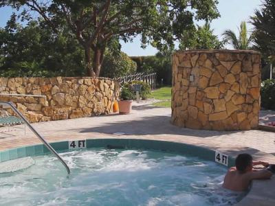 Tortuga Beach Club Resort - photo 3