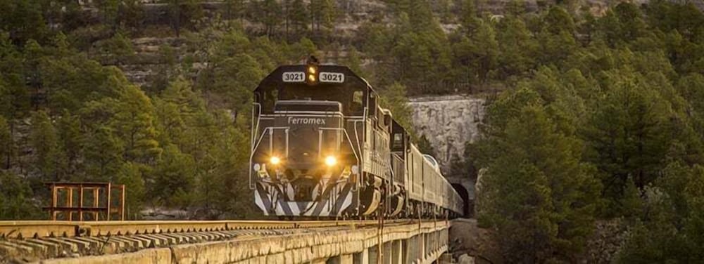 Train station shuttle