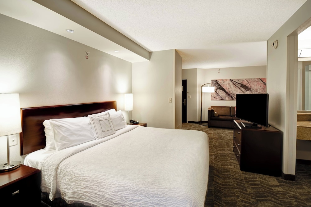 Springhill Suites by Marriott Louisville Airport - photo 18