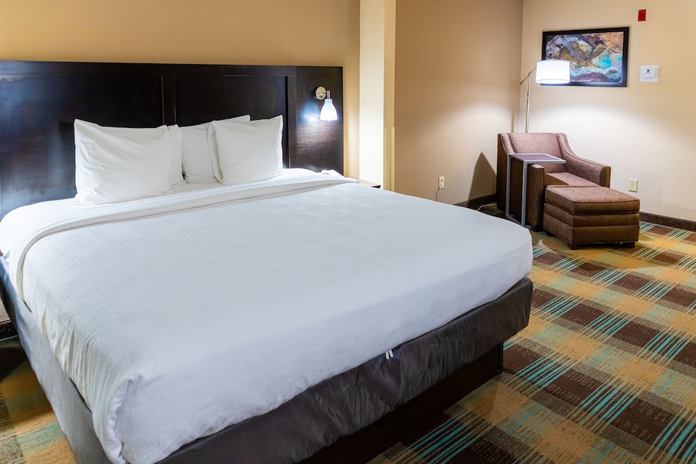 Best Western Plus North Savannah - photo 4