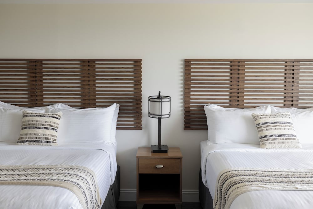 Dune Crest Hotel - photo 8