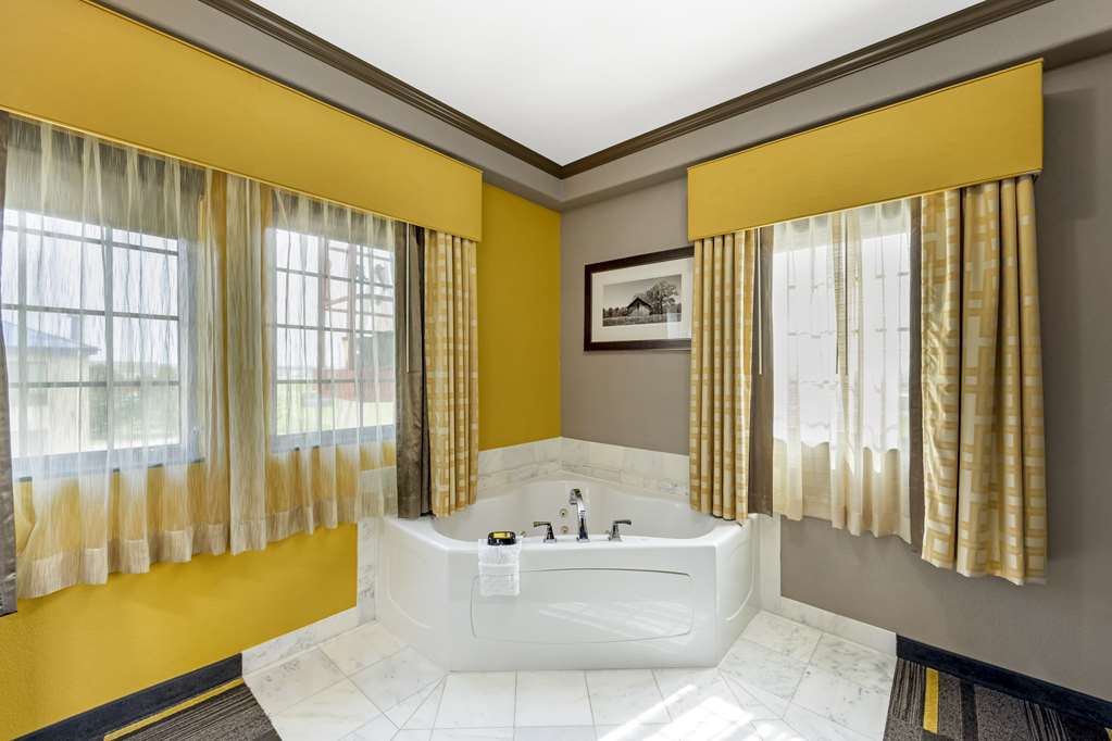 Best Western Plus Emerald Inn & Suites - photo 20