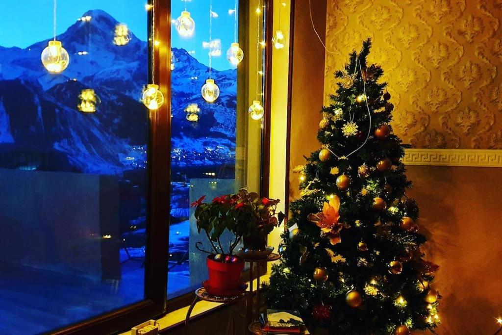 Apartment Nikolo