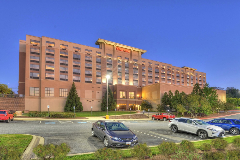 Sheraton Baltimore Washington Airport Hotel BWI - photo 56