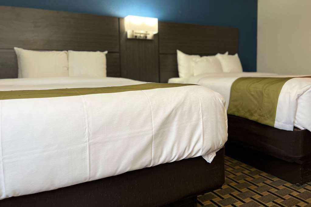 Quality Inn & Suites Louisville East - photo 31