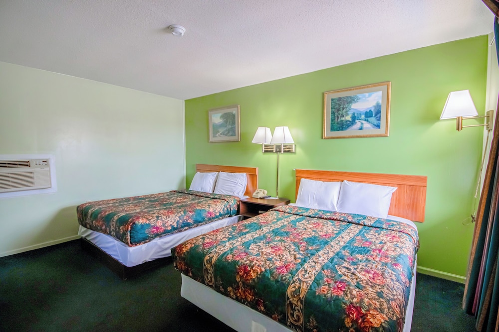 OYO Travelier Motel - photo 43