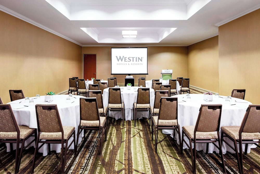 The Westin Michigan Avenue Chicago - photo 101