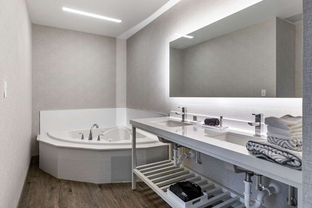 Cambria Hotel Manchester South Windsor - photo 15