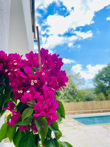 Wunderschone Finca Alcudia Mit Wlan Und Heizung 17980336 — Alcudia