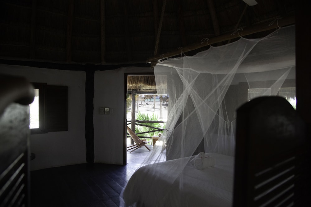 Blue Holbox