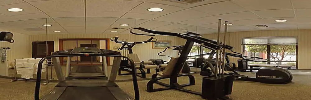 SpringHill Suites by Marriott Tampa Westshore Airport - photo 24