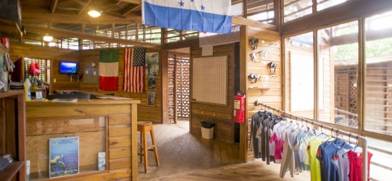 Paradise Oceanic Hotel in Unknown City, Honduras