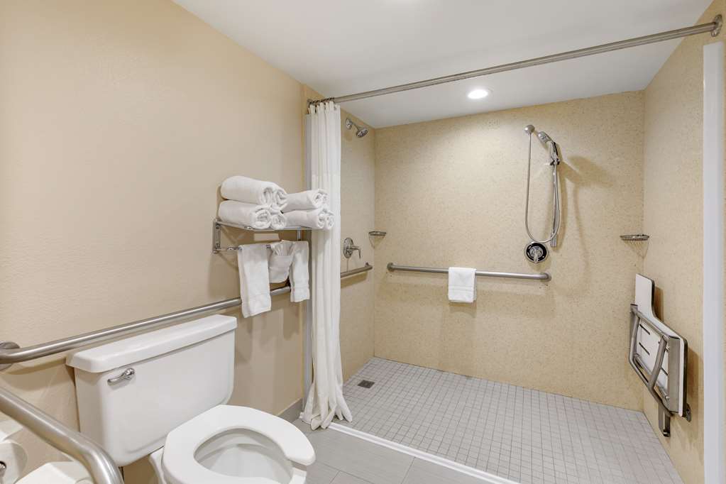Best Western Plus Heritage Inn Ontario Rancho Cucamonga - photo 63