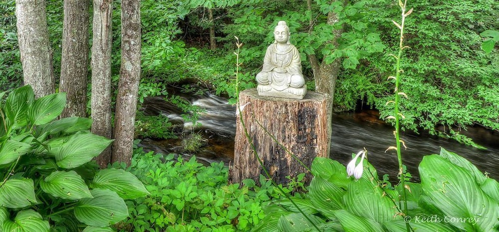 Magnolia Streamside Resort - photo 48