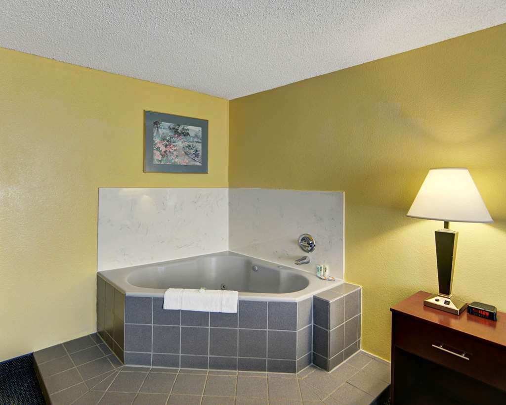 Quality Inn & Suites Grand Prairie South - photo 20
