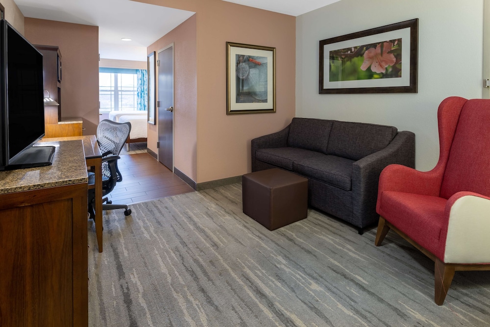 Hilton Garden Inn Roanoke - photo 22
