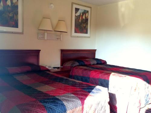 Carpet Inn - photo 20